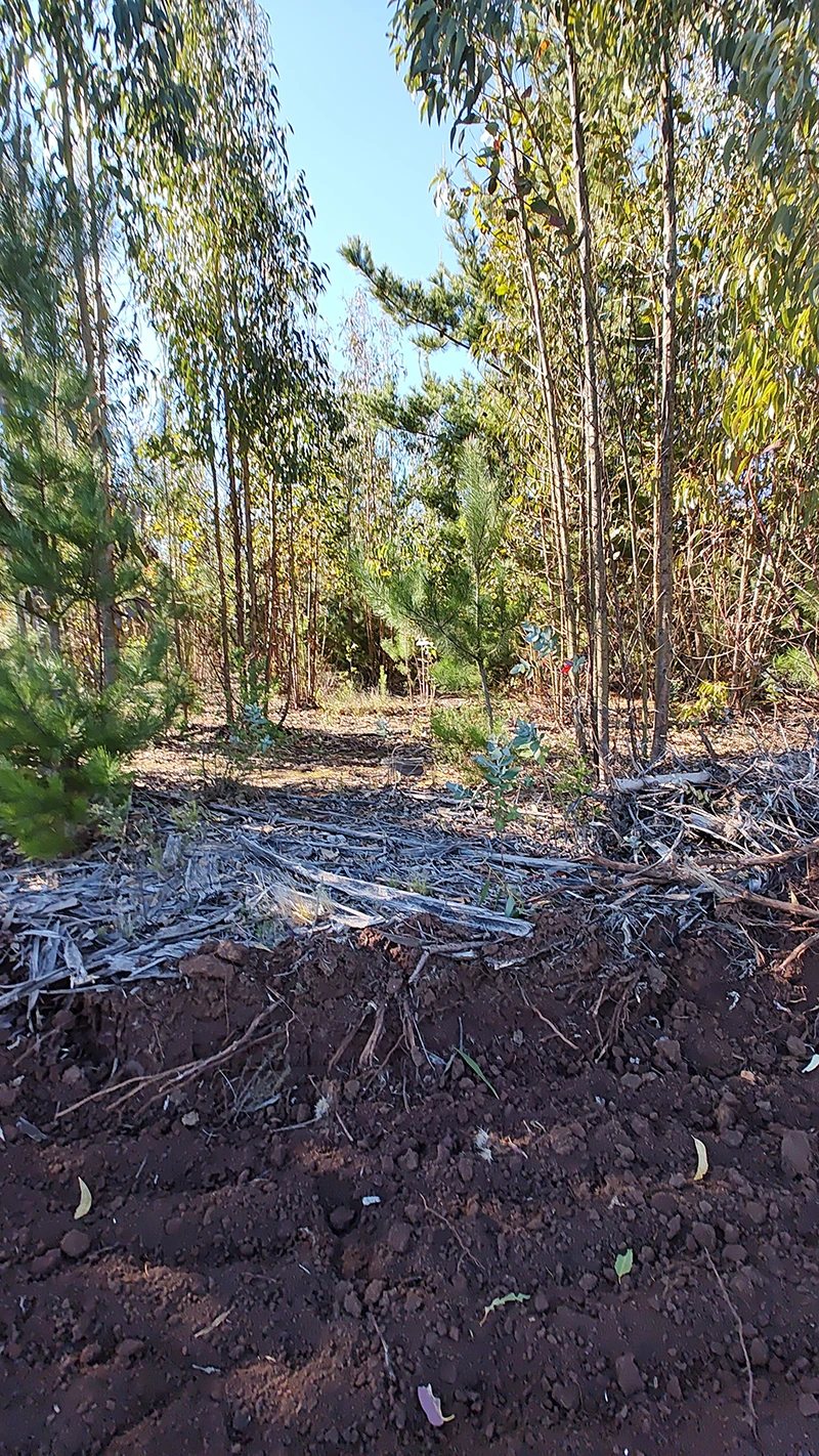 parcelas con rol propio en Pichilemu – Proyecto Alto Pichilemu 2