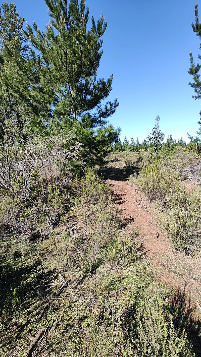 parcelas con rol propio en Pichilemu – Proyecto Alto Pichilemu 2