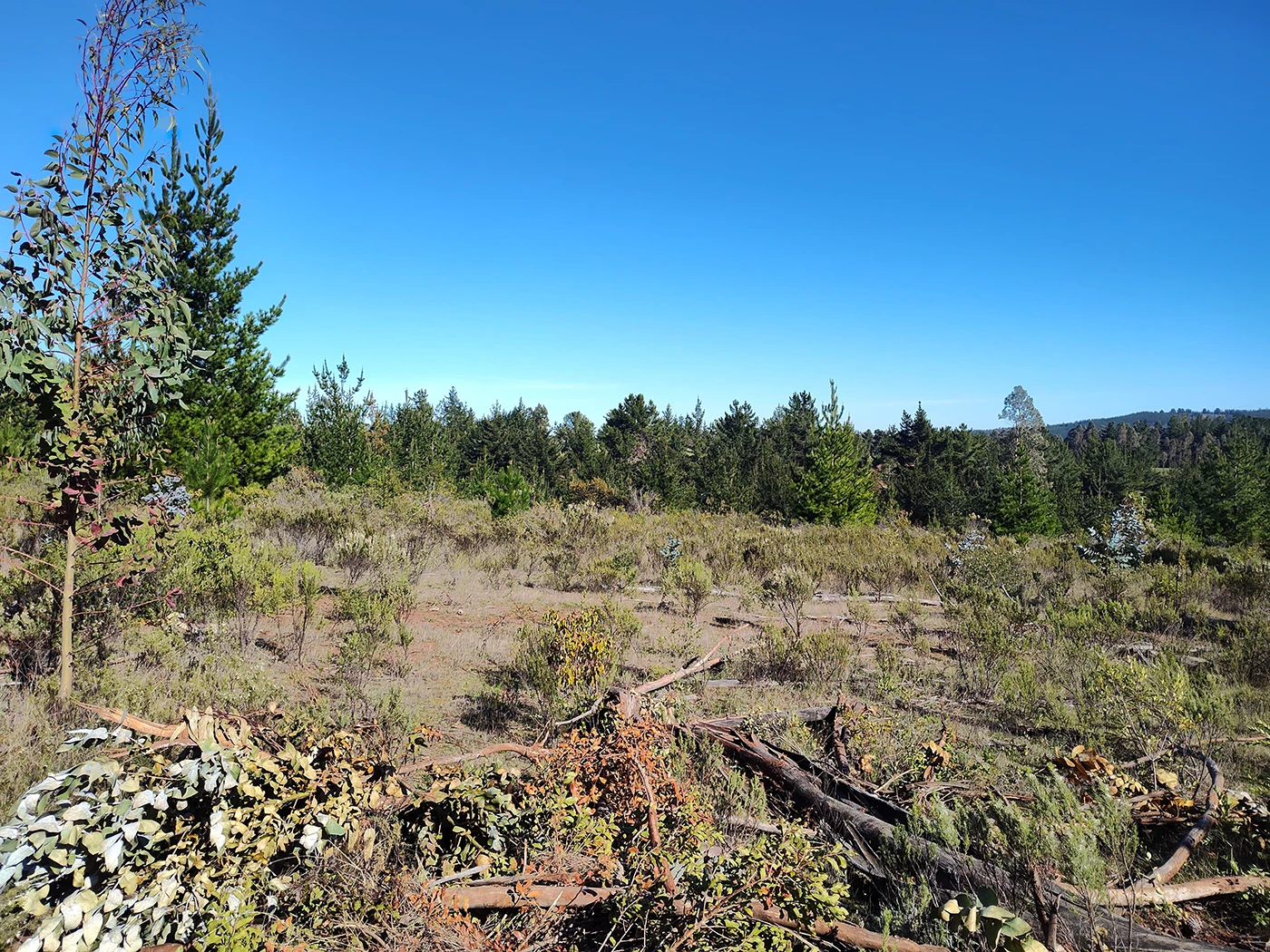 parcelas con rol propio en Pichilemu – Proyecto Alto Pichilemu 2