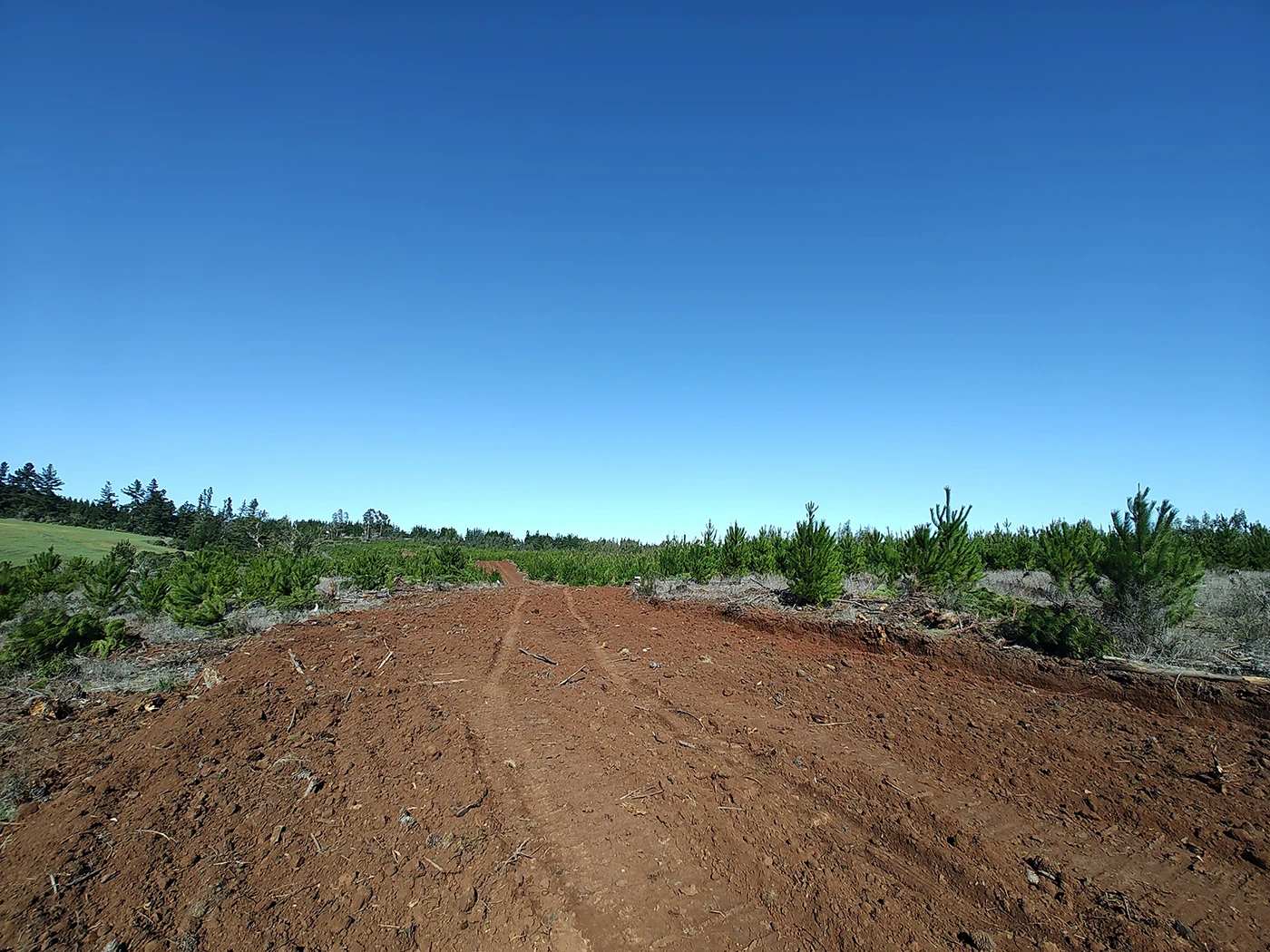 parcelas con rol propio en Pichilemu – Proyecto Alto Pichilemu 2