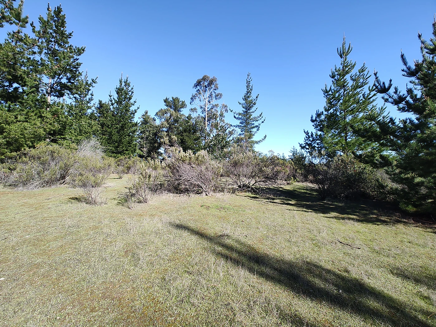 parcelas con rol propio en Pichilemu – Proyecto Alto Pichilemu 2