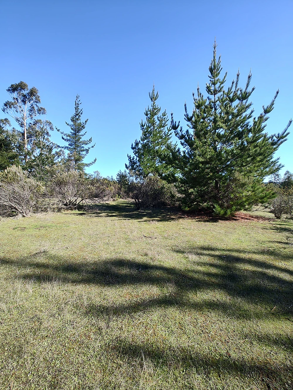 parcelas con rol propio en Pichilemu – Proyecto Alto Pichilemu 2