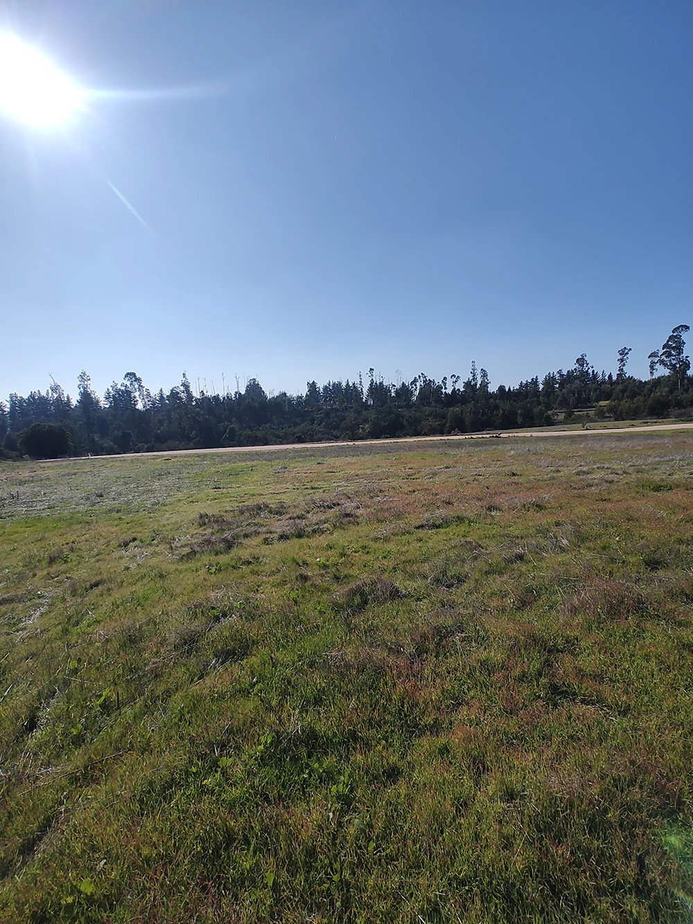 Parcela Santo Domingo